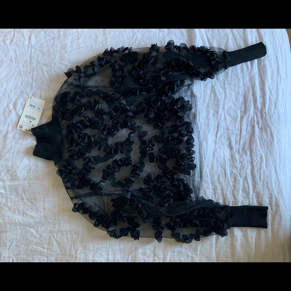 Zara Tops - NWT Zara sheer mesh crop top size S
